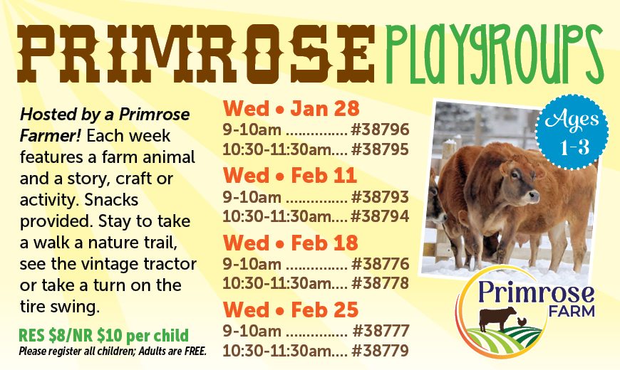 Primrose Playgroups