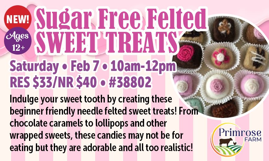 Sweet Treats Needle Felting