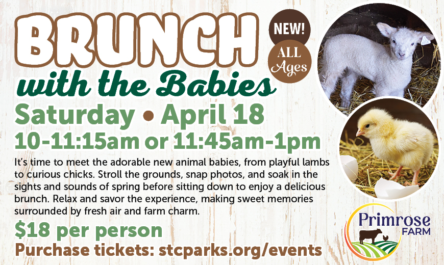 BrunchWithBabies_SP26_REACH