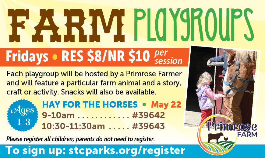 FarmPlaygroups_SP26-HORSES_REACH
