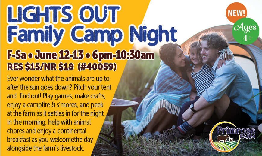 FARM_LightsOut-FamilyCampNight_SU26_REACH
